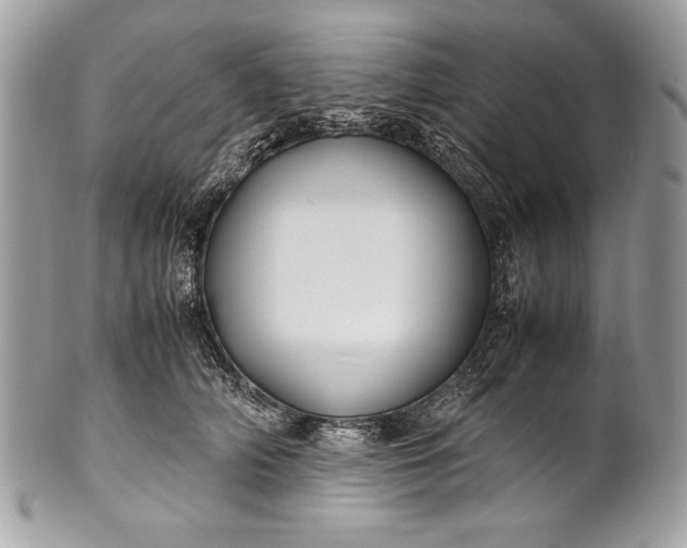 X0000100860706200807070933