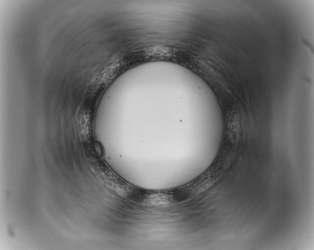 X0000100860708200807070933