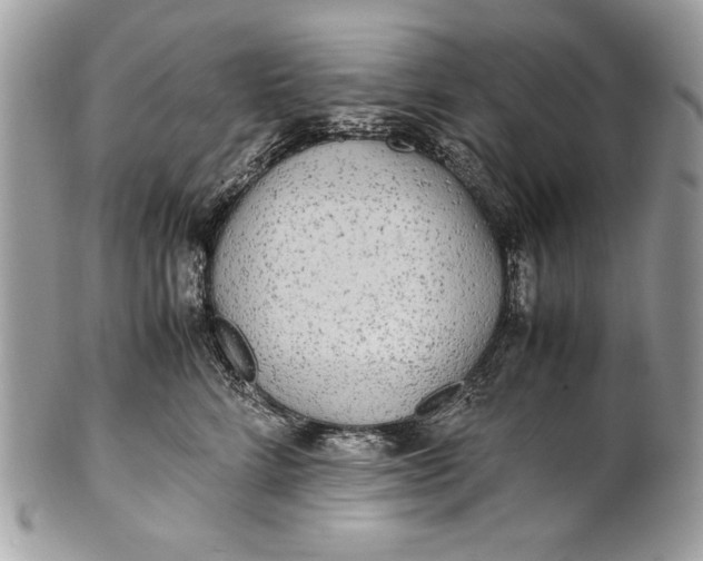 X0000100860712200807070933