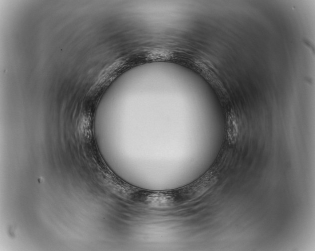 X0000100860714200807070933