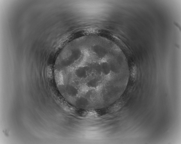 X0000100860715200807070933