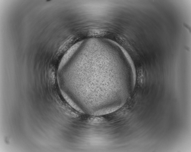 X0000100860716200807070933