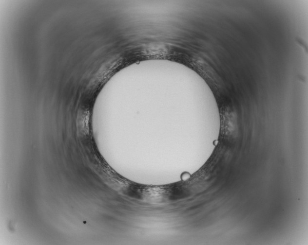 X0000100860717200807070933