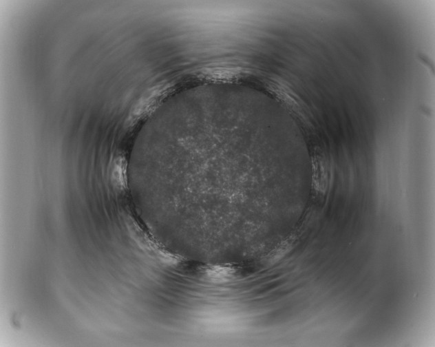 X0000100860718200807070933