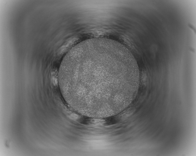 X0000100860719200807070933