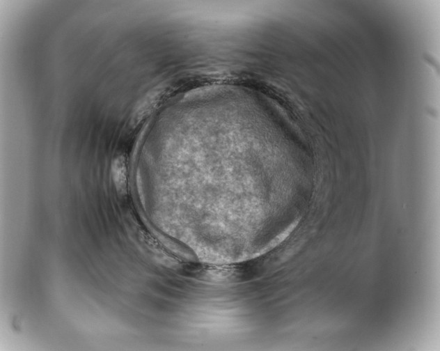 X0000100860720200807070933