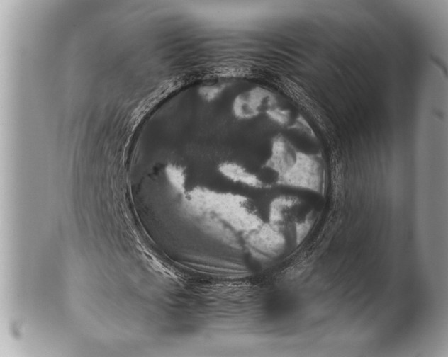 X0000100860721200807070933