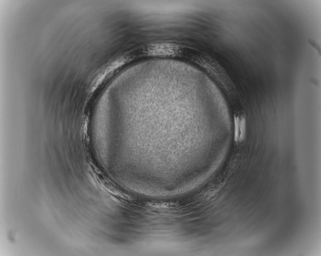 X0000100860723200807070933