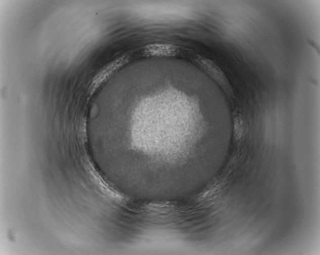 X0000100860725200807070933