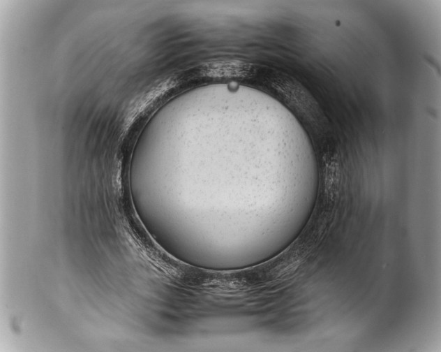 X0000100860727200807070933