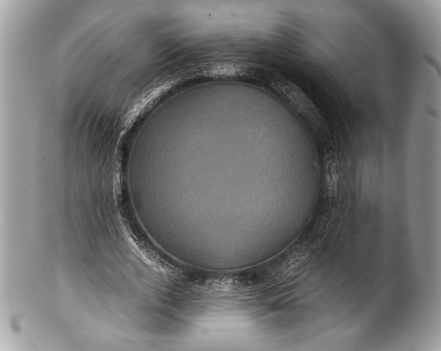 X0000100860728200807070933