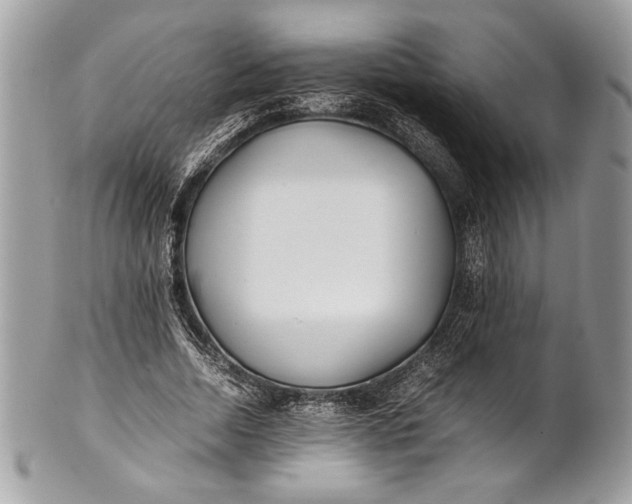 X0000100860730200807070933