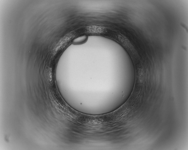 X0000100860731200807070933