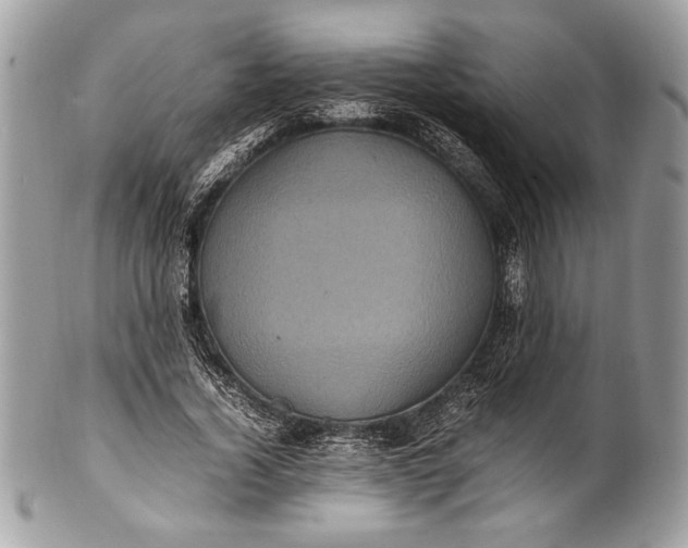 X0000100860732200807070933