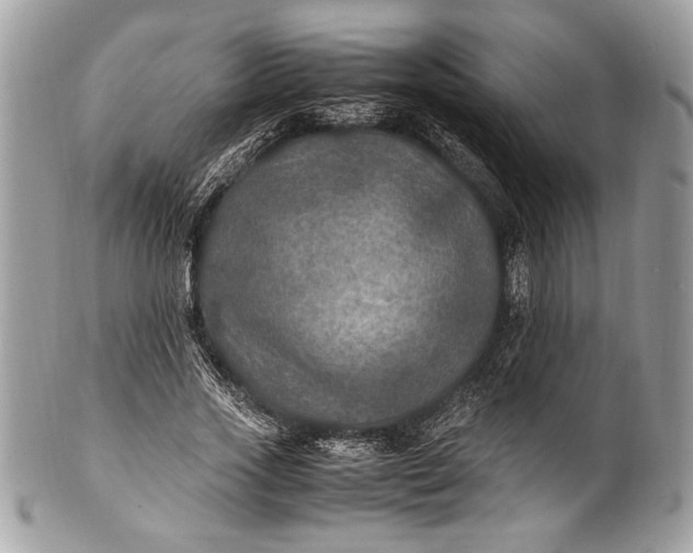 X0000100860733200807070933