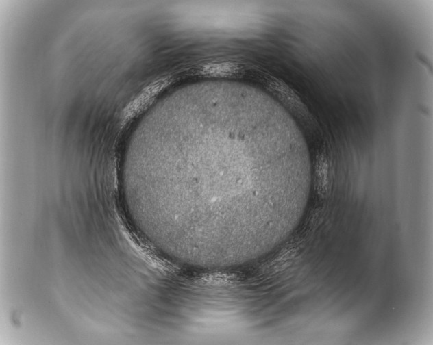 X0000100860734200807070933