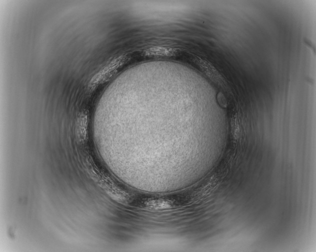 X0000100860735200807070933