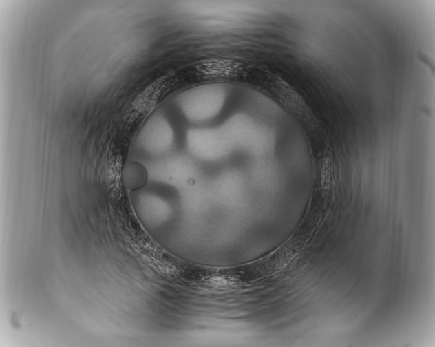 X0000100860737200807070933