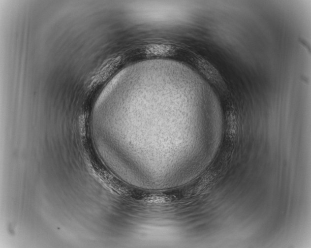 X0000100860738200807070933