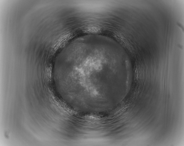 X0000100860739200807070933