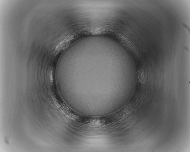 X0000100860740200807070933