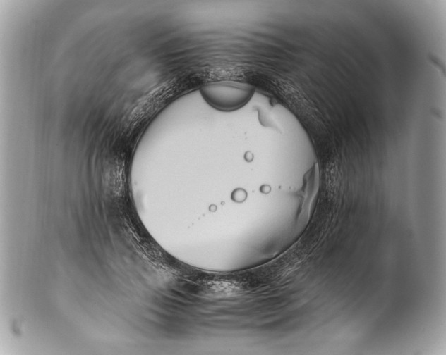 X0000100860741200807070933