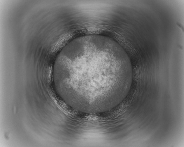 X0000100860742200807070933