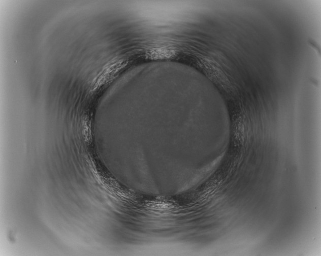 X0000100860743200807070933