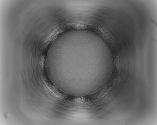 X0000100860744200807070933