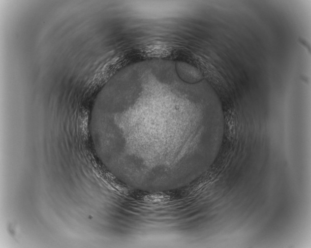 X0000100860745200807070933