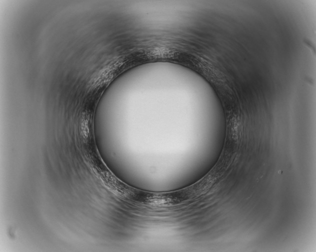 X0000100860746200807070933