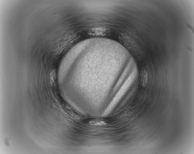 X0000100860747200807070933