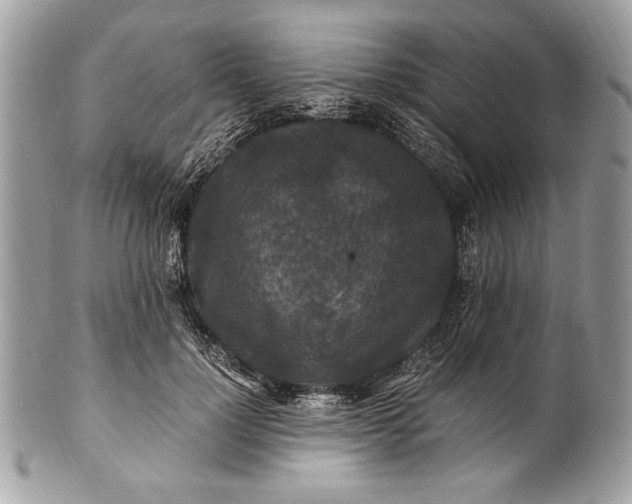 X0000100860748200807070933