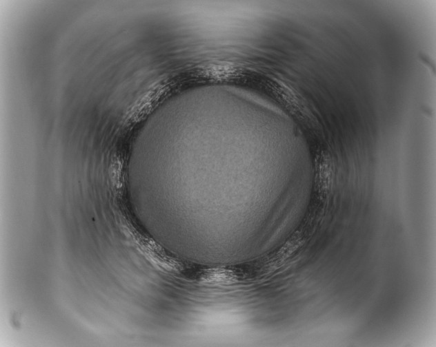 X0000100860750200807070933