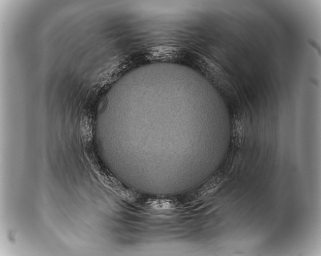 X0000100860751200807070933