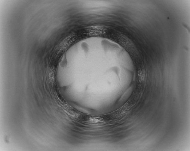 X0000100860753200807070933