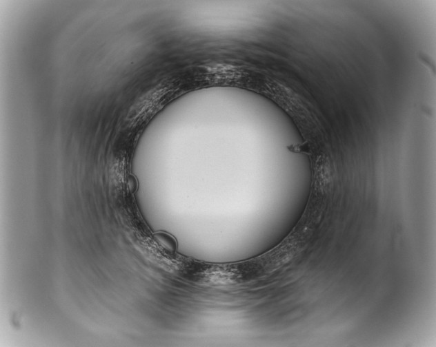 X0000100860756200807070933