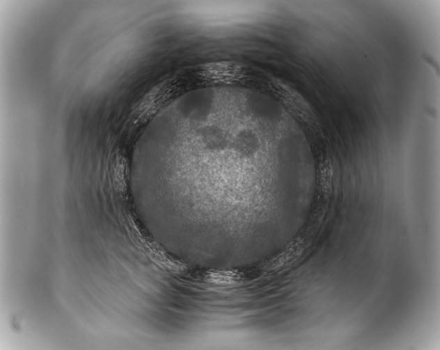 X0000100860757200807070933