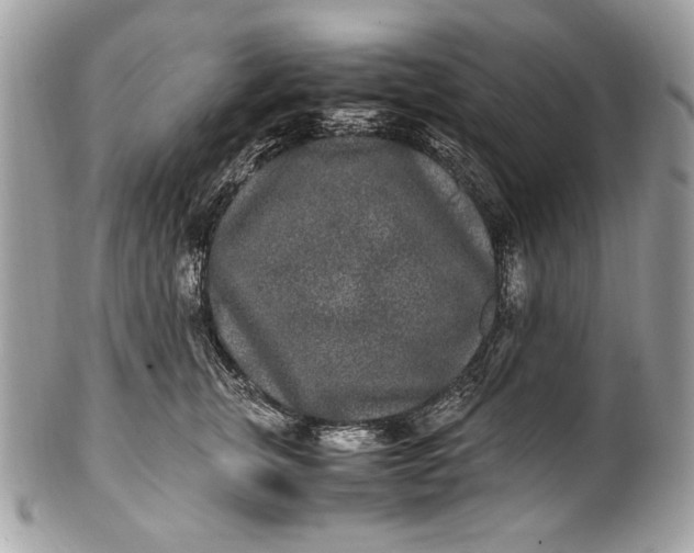 X0000100860759200807070933