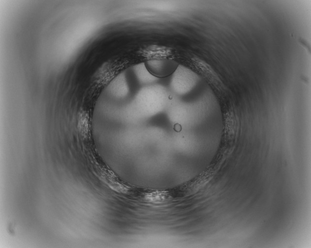 X0000100860761200807070933