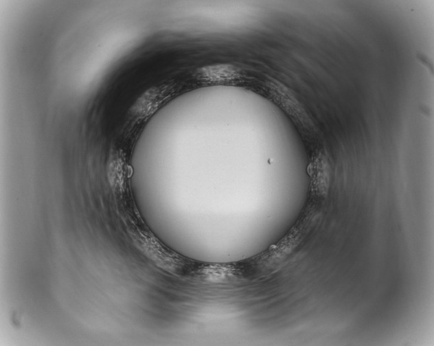 X0000100860762200807070933