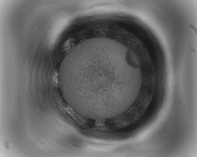 X0000100860766200807070933