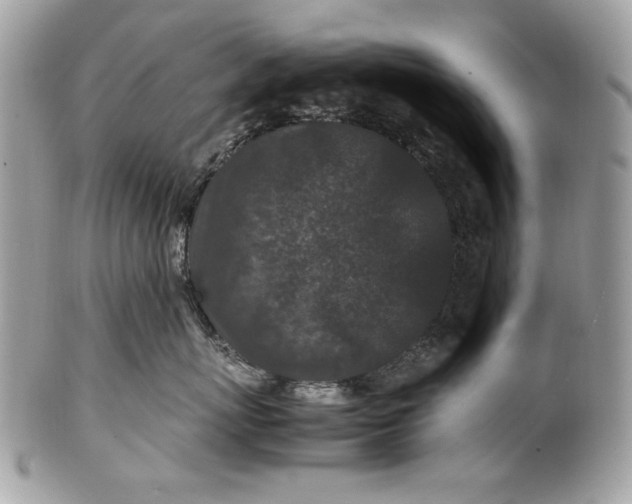 X0000100860767200807070933