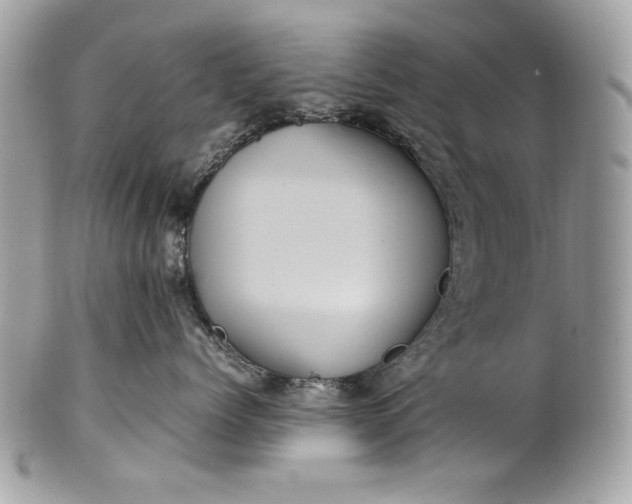 X0000100860768200807070933