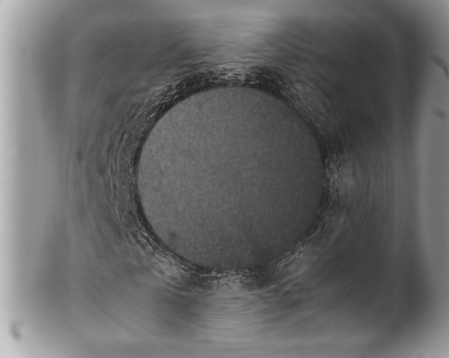 X0000100860769200807070933