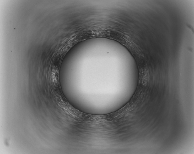 X0000100860770200807070932