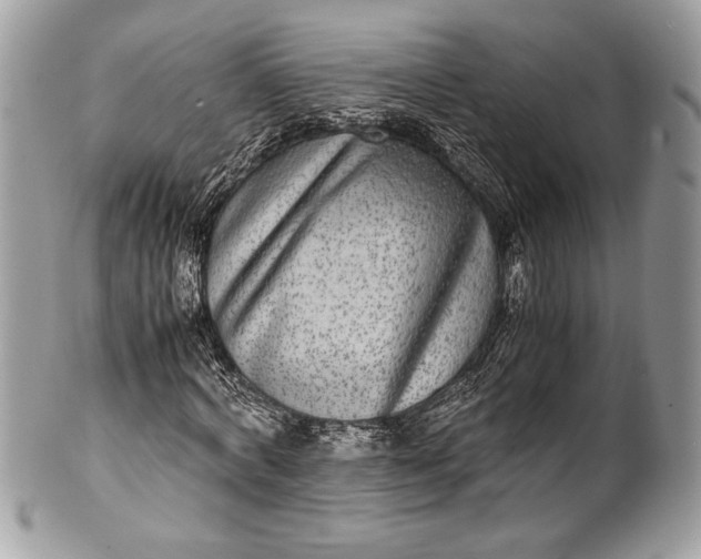 X0000100860772200807070932