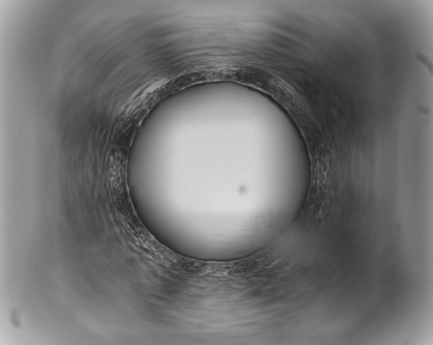 X0000100860773200807070932