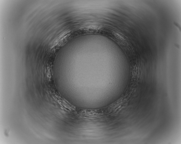 X0000100860774200807070932