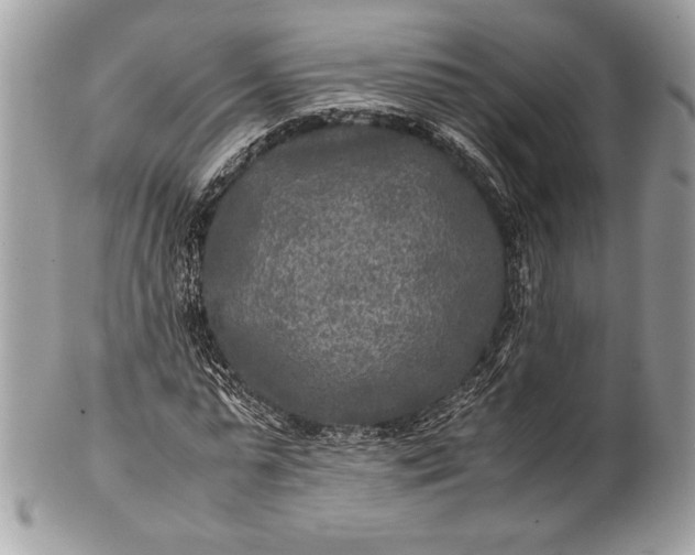 X0000100860775200807070932